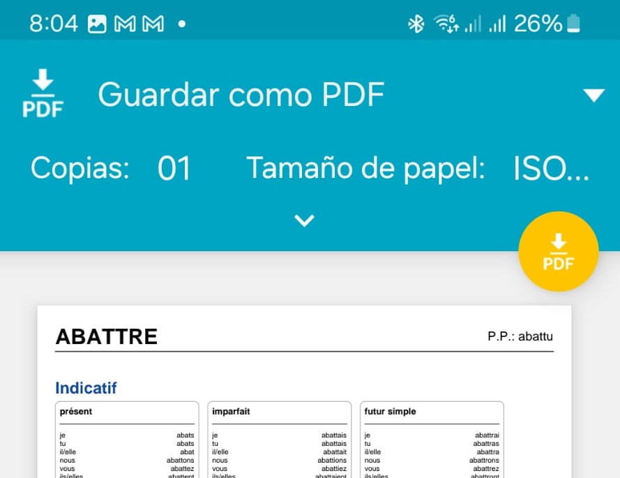 Foto de la pantalla de impresión de la ficha del verbo